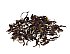 2022 Darjeeling Style Tea Loose-Leaf, Light Oxidation, USDA Organic