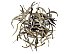 2022 Silver Needle Tea Baihao Yinzhen