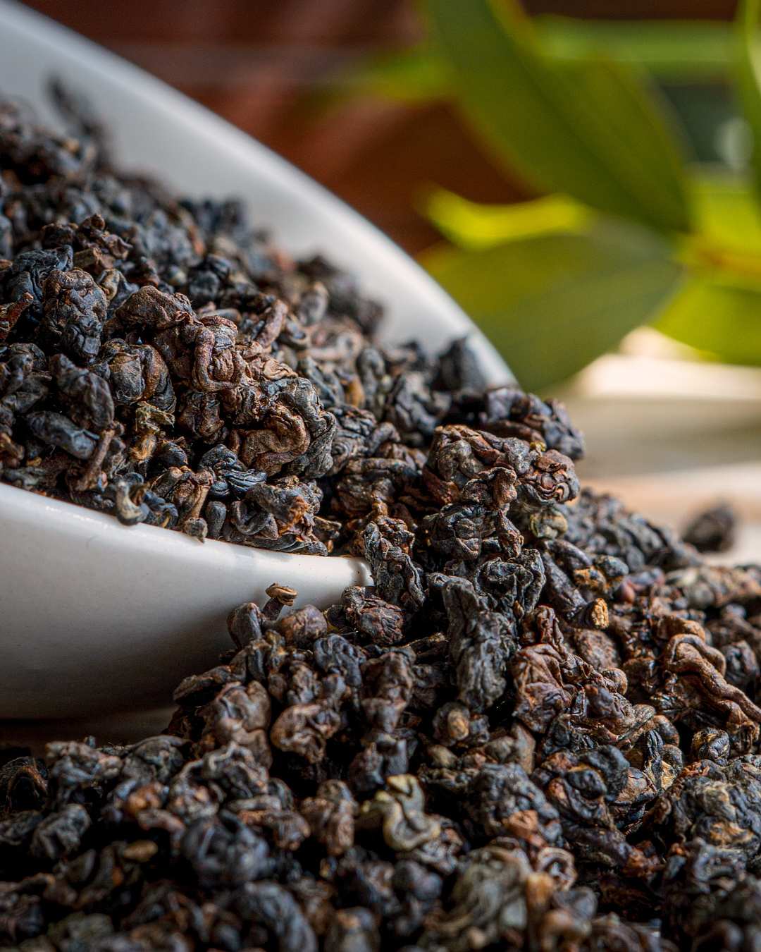 2026 Lan Xiang Hong Shui Oolong Tea