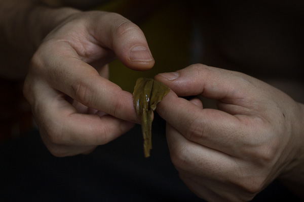 Steeped tea leaf.